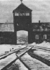 Auschwitz, estaao final