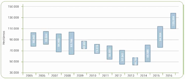 rea productiva durante el ao en hectreas: metodologa ajustada, 2005-2016