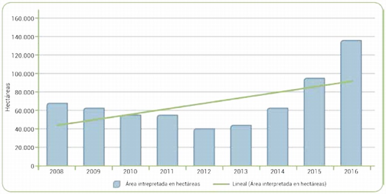 Interpretacin de cultivos de coca sin ajustes, 2008 -2016