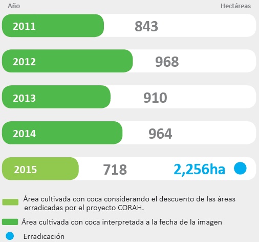 Distribucin del cultivos de coca en San Gabn