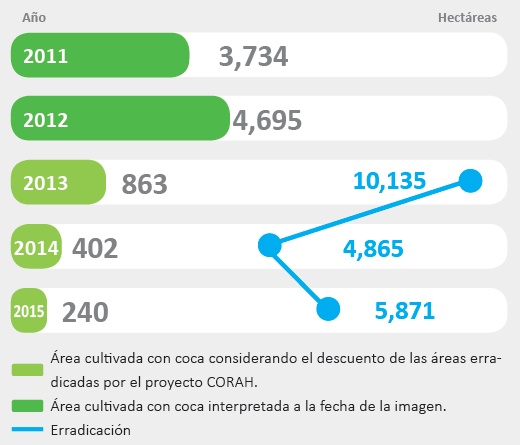 Distribucin del cultivo de coca en Pichis-Palcaz-Pachitea