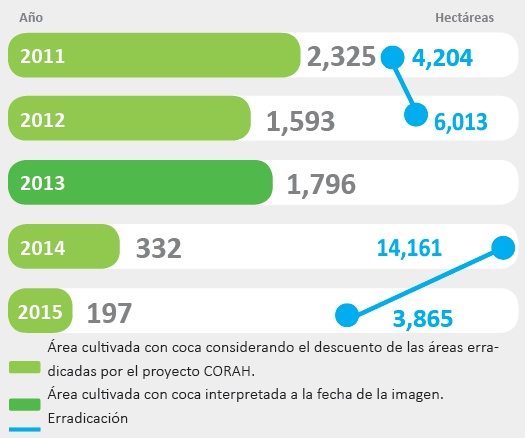 Superficie del cultivo de coca en Aguayta