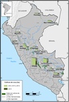 Superficie de cultivos de coca por zona en Per