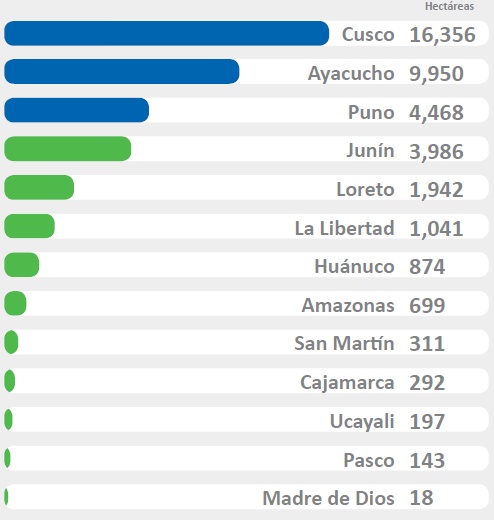 Distribucin del cultivo de coca por regiones, 2015