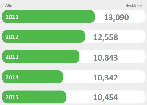  Distribucin del cultivo de coca en La Convencin y Lares