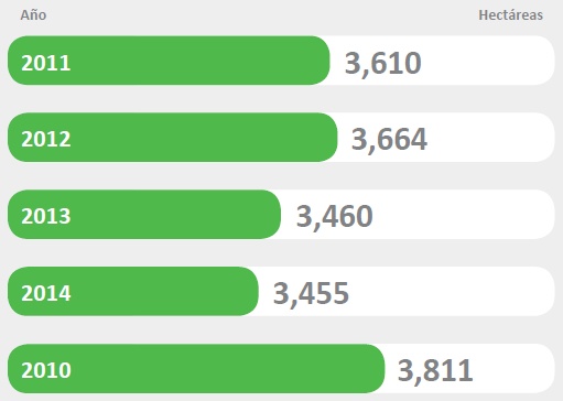 Distribucin del cultivo de coca en Inambari-Tambopata