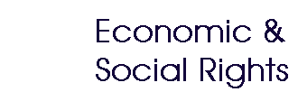 Economic & Social Rights